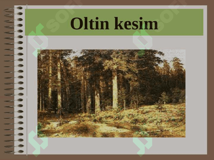 Planimetriya kursi bo’yicha takrorlash. 8