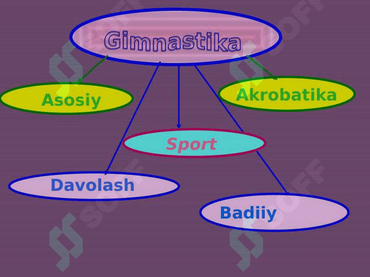 GIMNASTIKANING XUSUSIYATLARI 2