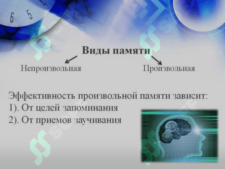виды и процессы памяти 5