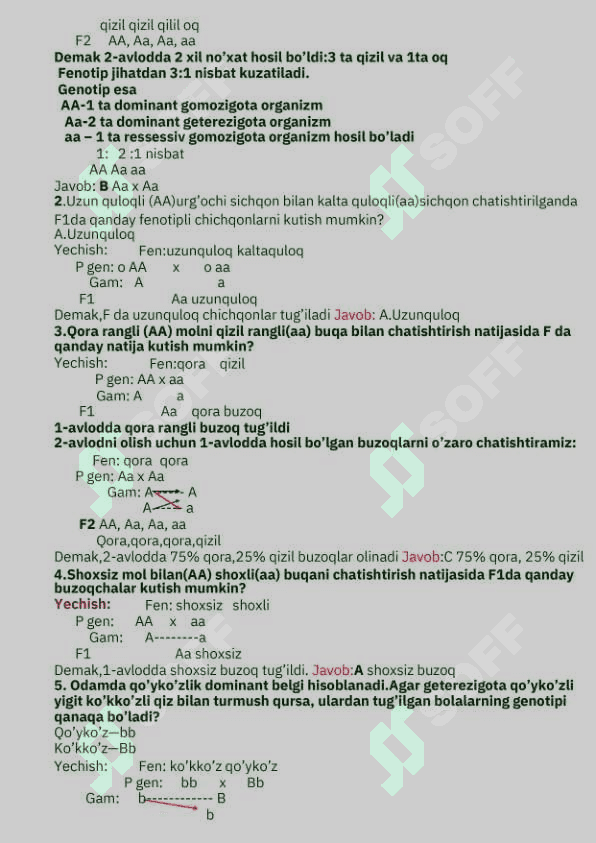 Genetikadan masalalar yechish 3