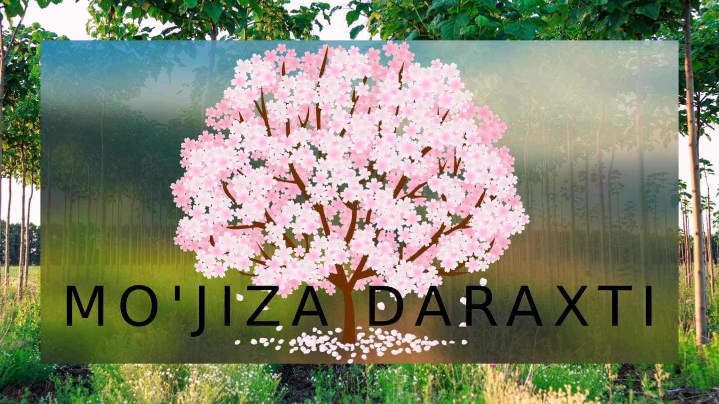 MO'JIZA DARAXTI 1