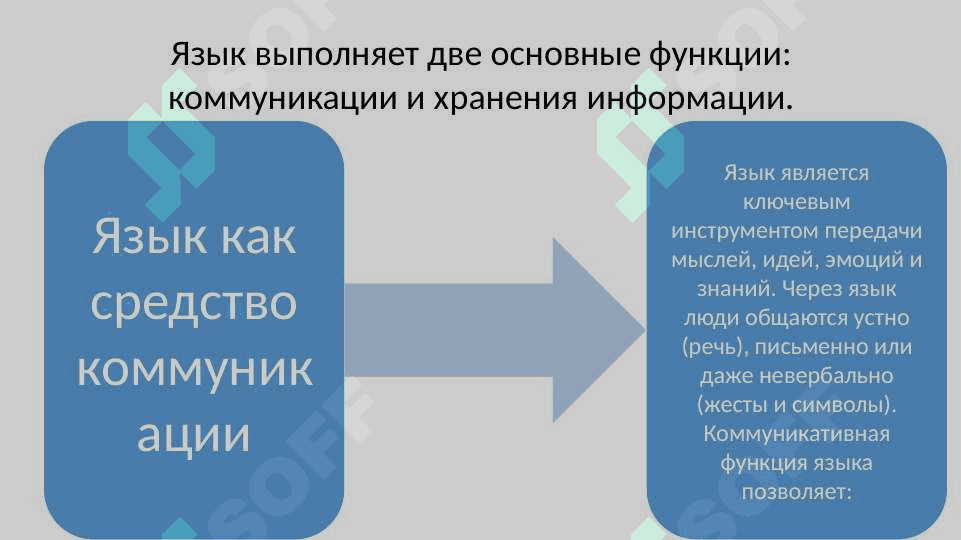 Современная лингвистика 5