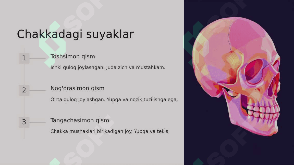 Kalla suyaklarining rentgenanatomiyasi 8