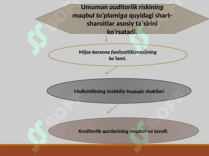 Auditorlik risklarning maqbul to’plami 5