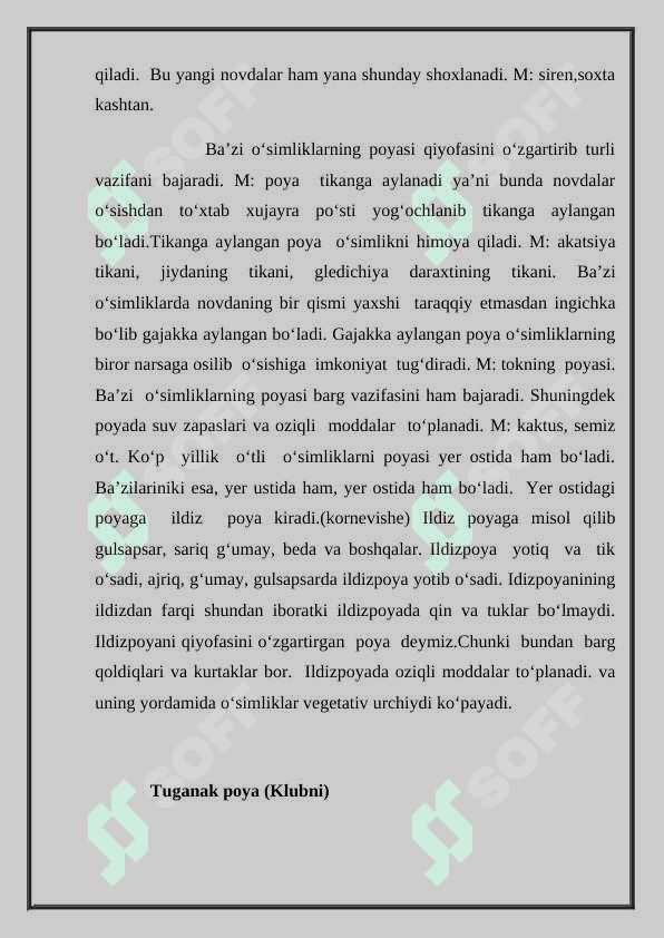ILDIZ,POYA,BARG METAMARFOZ 5