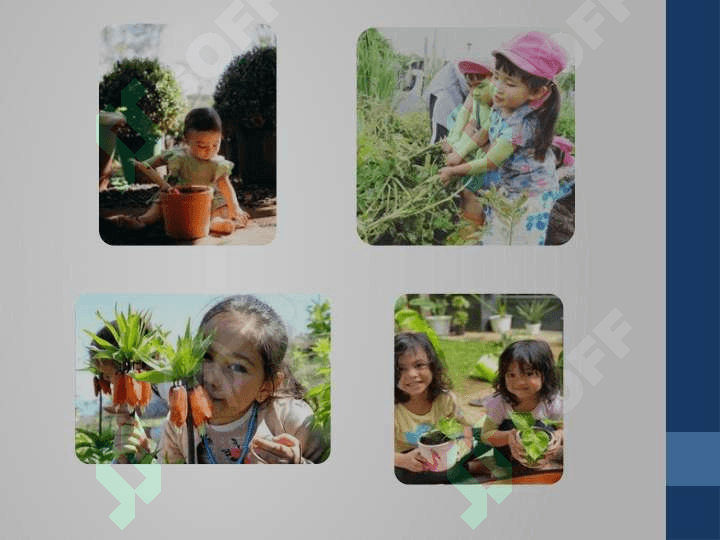 Tabiat burchagidagi navbatchilik va uning mazmuni 6