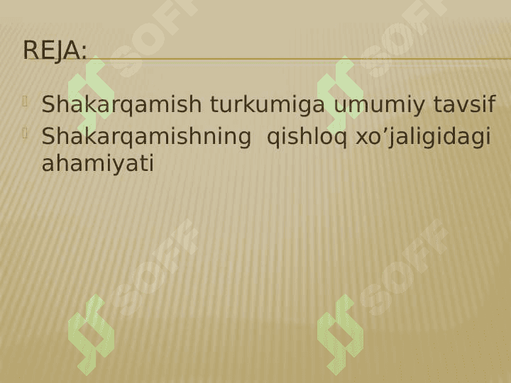 Shakarqamish 2