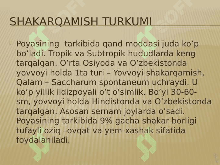 Shakarqamish 3