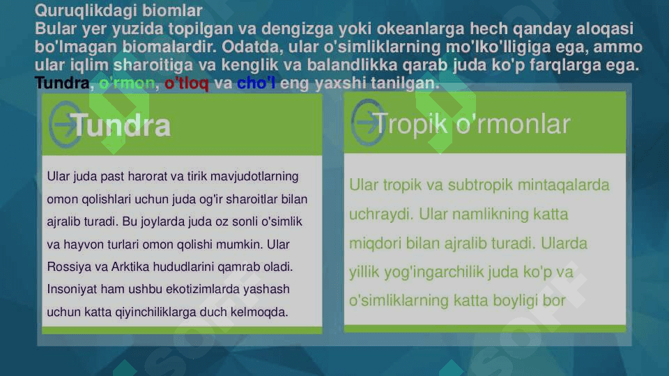 Biomlar 7