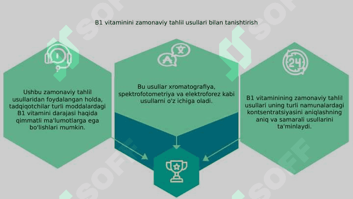 Vitamin B1 ning zamonaviy tahlil usullari 3