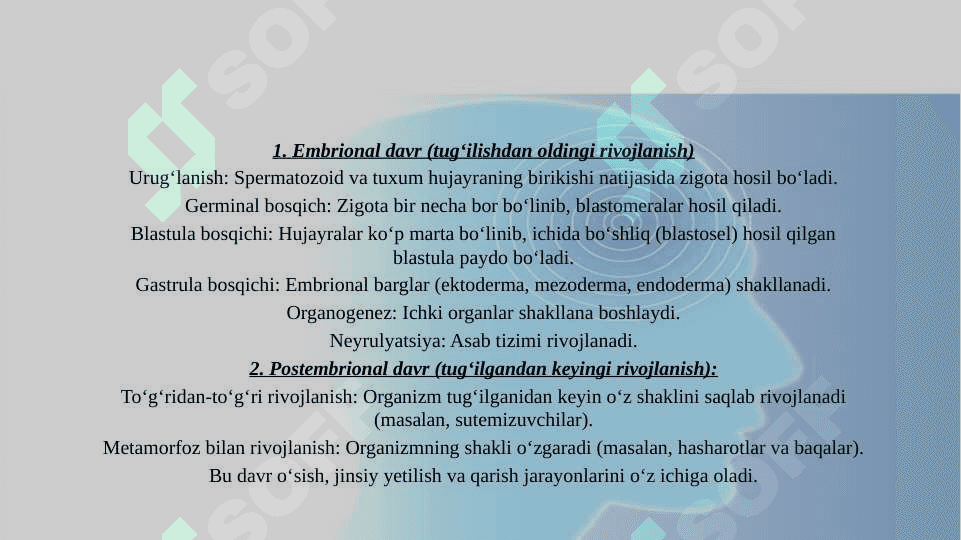 PRIZINTATSIYA 3