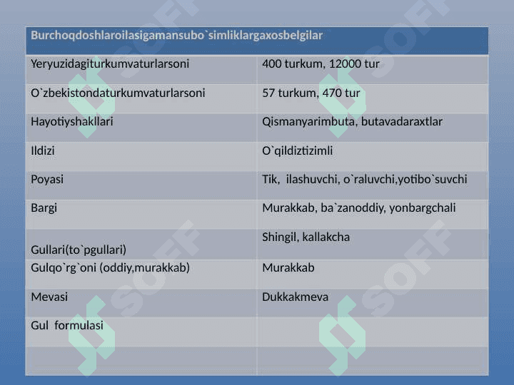 Ituzumdoshlar oilasi 4