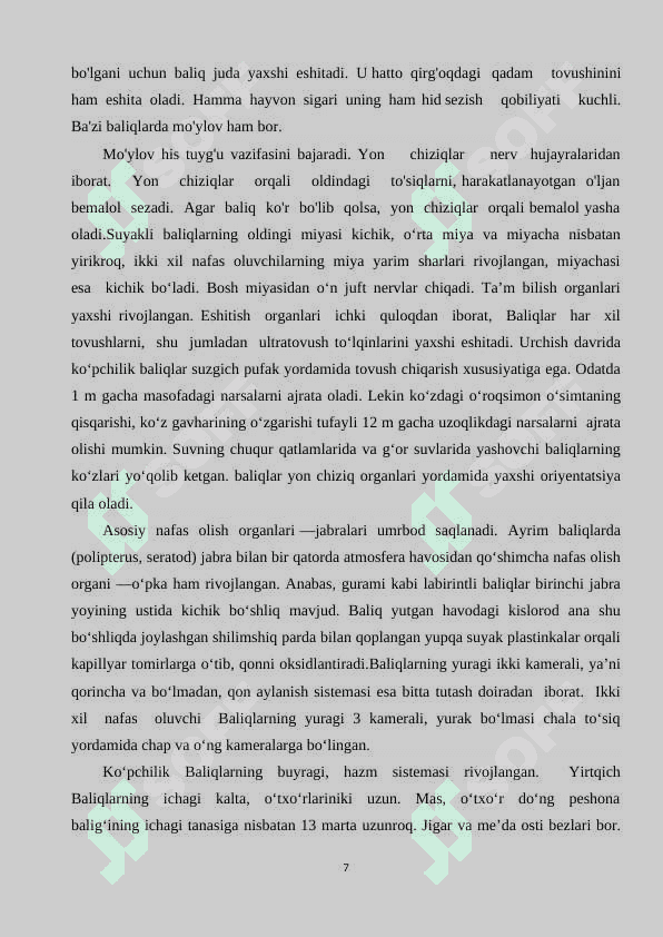 Suyakli to'g'ayli baliqlar 6