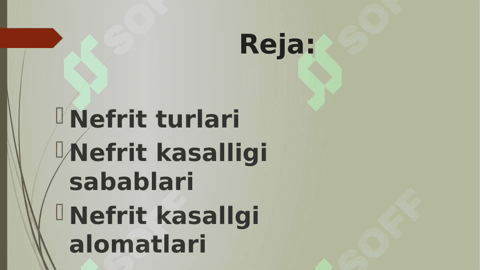 Nefritlar. Ularning turlari 2