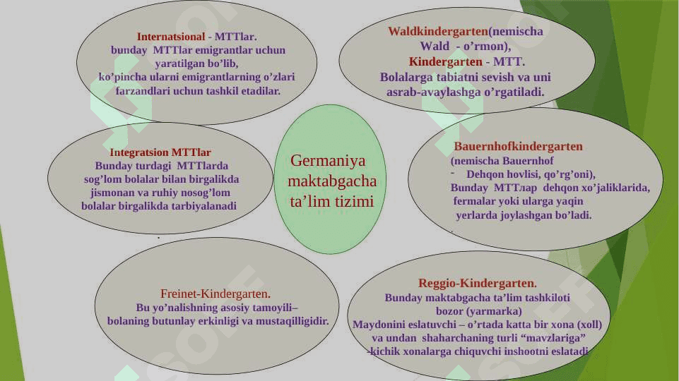 Germaniya ta’lim tizimi 4