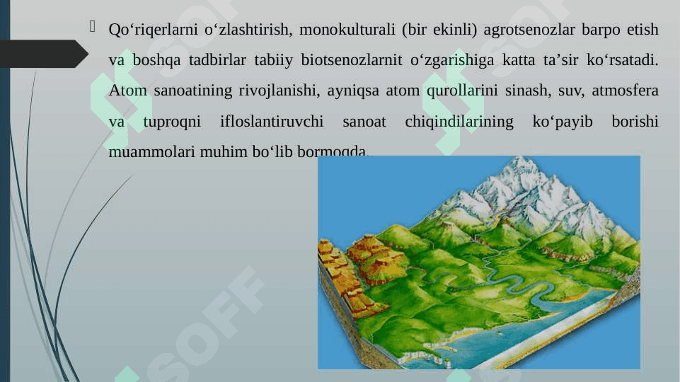 ANTROPOGEN RELEF SHAKLLARIGA TA'RIF BERISH 7