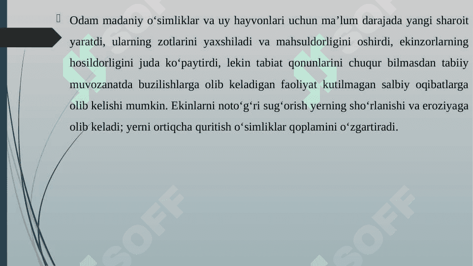 ANTROPOGEN RELEF SHAKLLARIGA TA'RIF BERISH 8