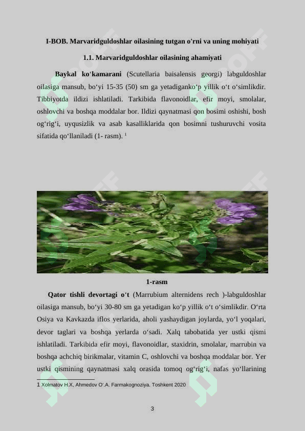 Marvaridguldoshlar oilasi (2).docx 4