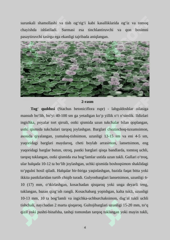 Marvaridguldoshlar oilasi (2).docx 5