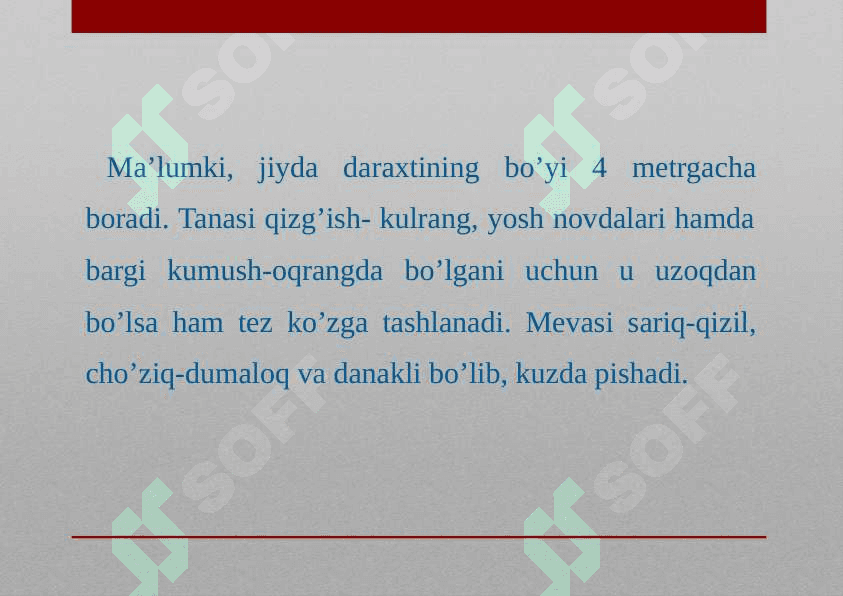 Jiydanamolar oilasi 2