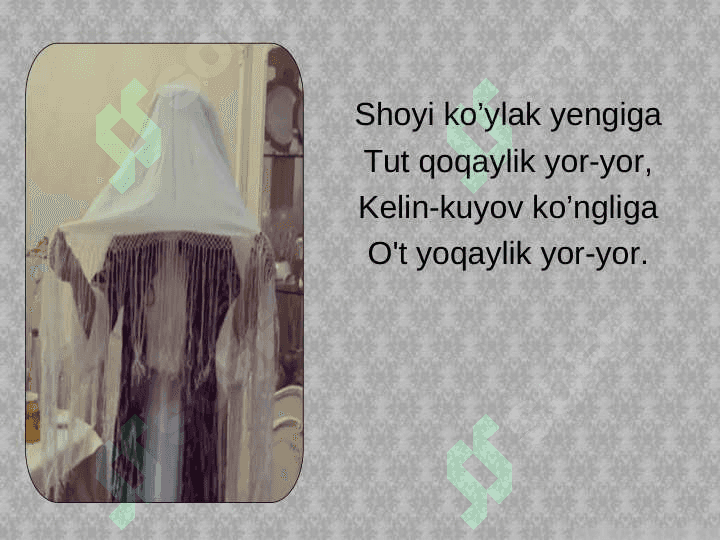 KELIN SALOM 5