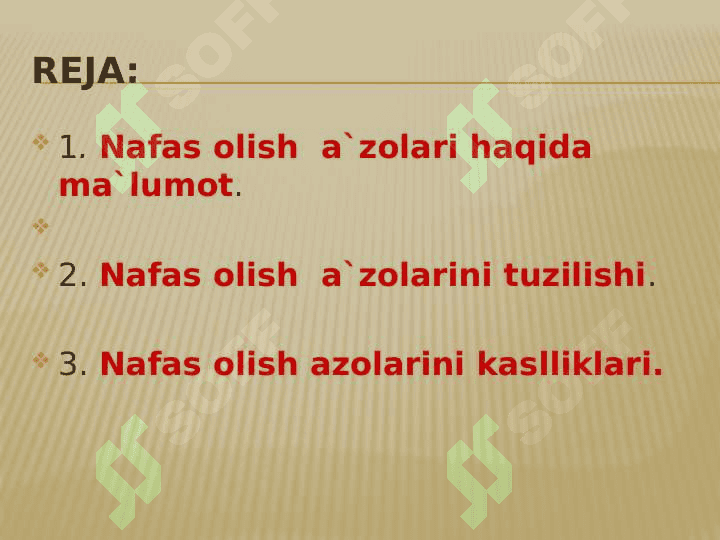Nafas  olish  sistemasi 6