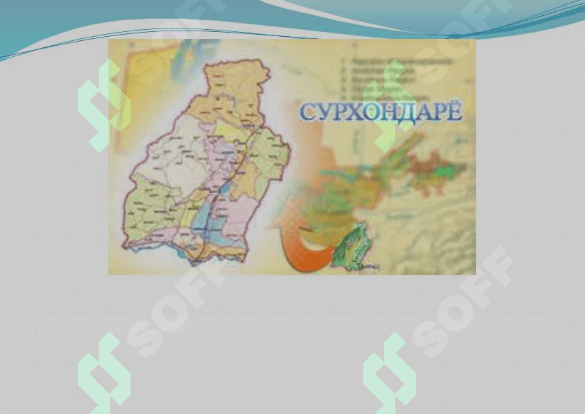 Oltinsoy tumani 7