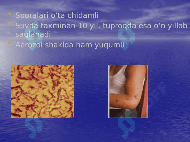 Kuydirgi   tarixi va geografik tarqalishi 3