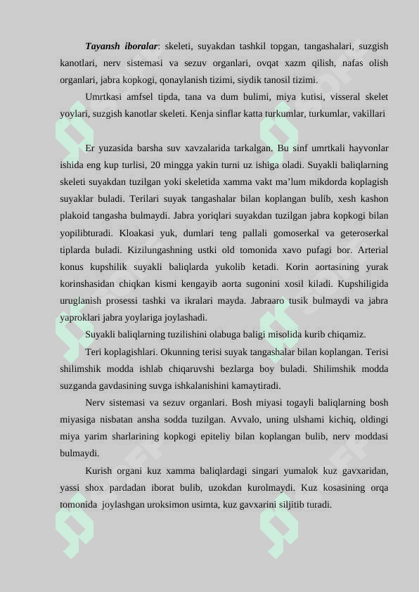 Suyakli baliqlar sinfi 3