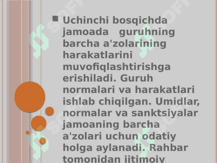 Jamoani shakllantirishning istiqbol rejalari. 4