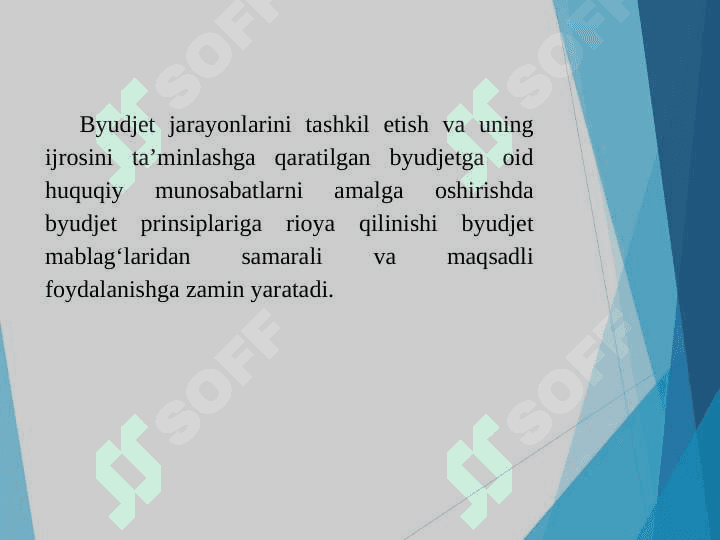 Byudjet sohasida vakillik va ijro hokimiyati davlat organlarining vakolatlari. 4