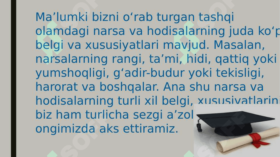 Sezgi 7