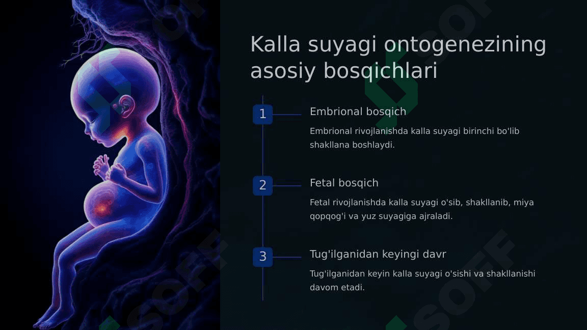 Kalla suyagi filogenezi va ontogenezi, taraqqiyotiga tashqi omillarning ta'siri 4