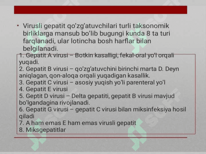 Virusli gepatitlar 4