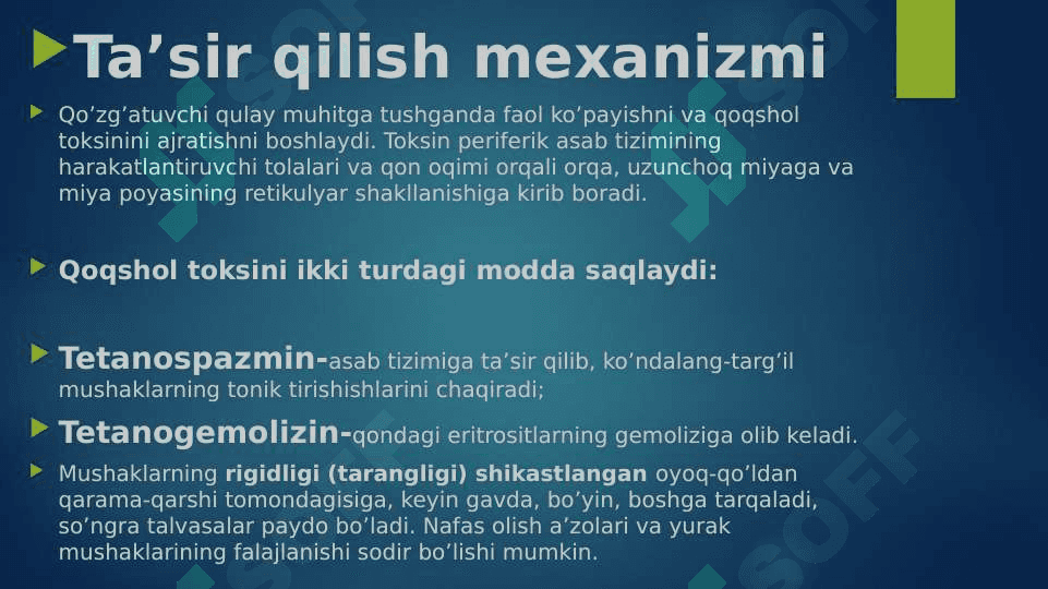 Qoqshol 4