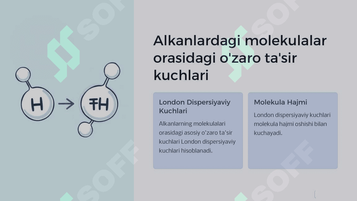 ALKANLAR 6