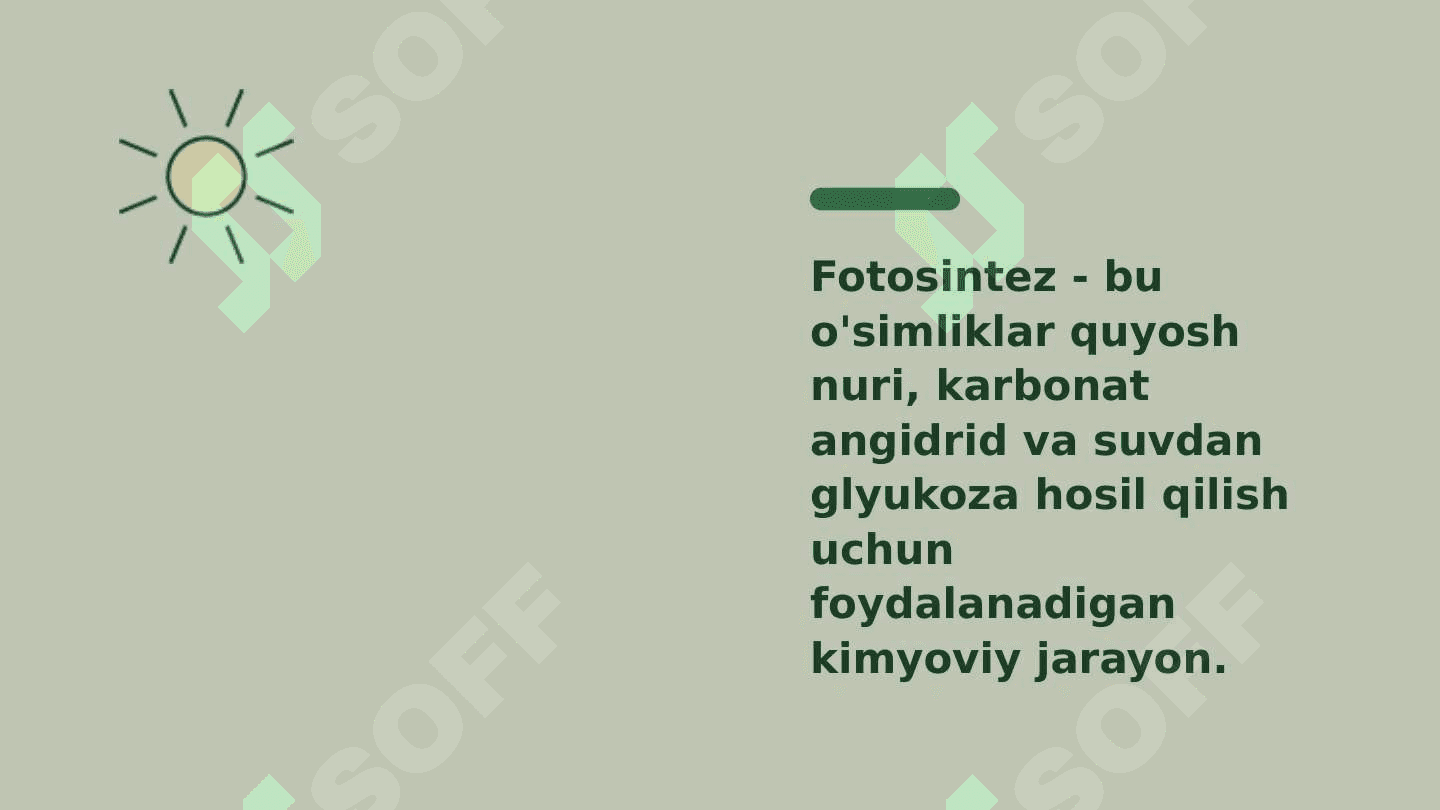 fotosintez 3