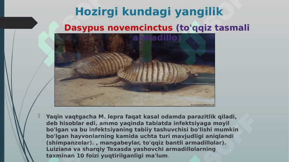 Moxov lerpa ppt 5