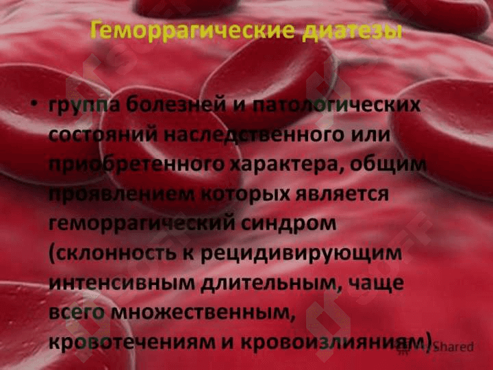 Gemorragik deatez (rus) ppt 2
