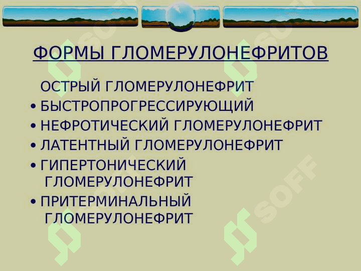 Glamerunefrit  (rus)ppt 4