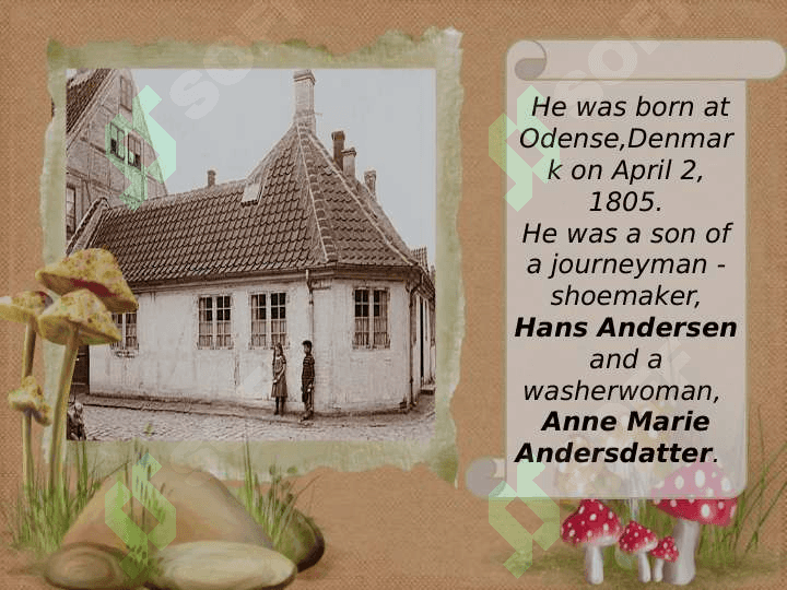 Anderson report 8