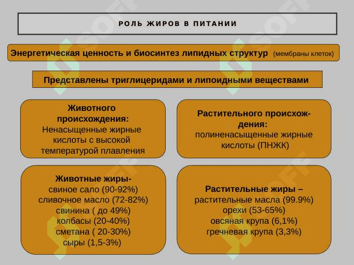 Питание и здоровье человека 8