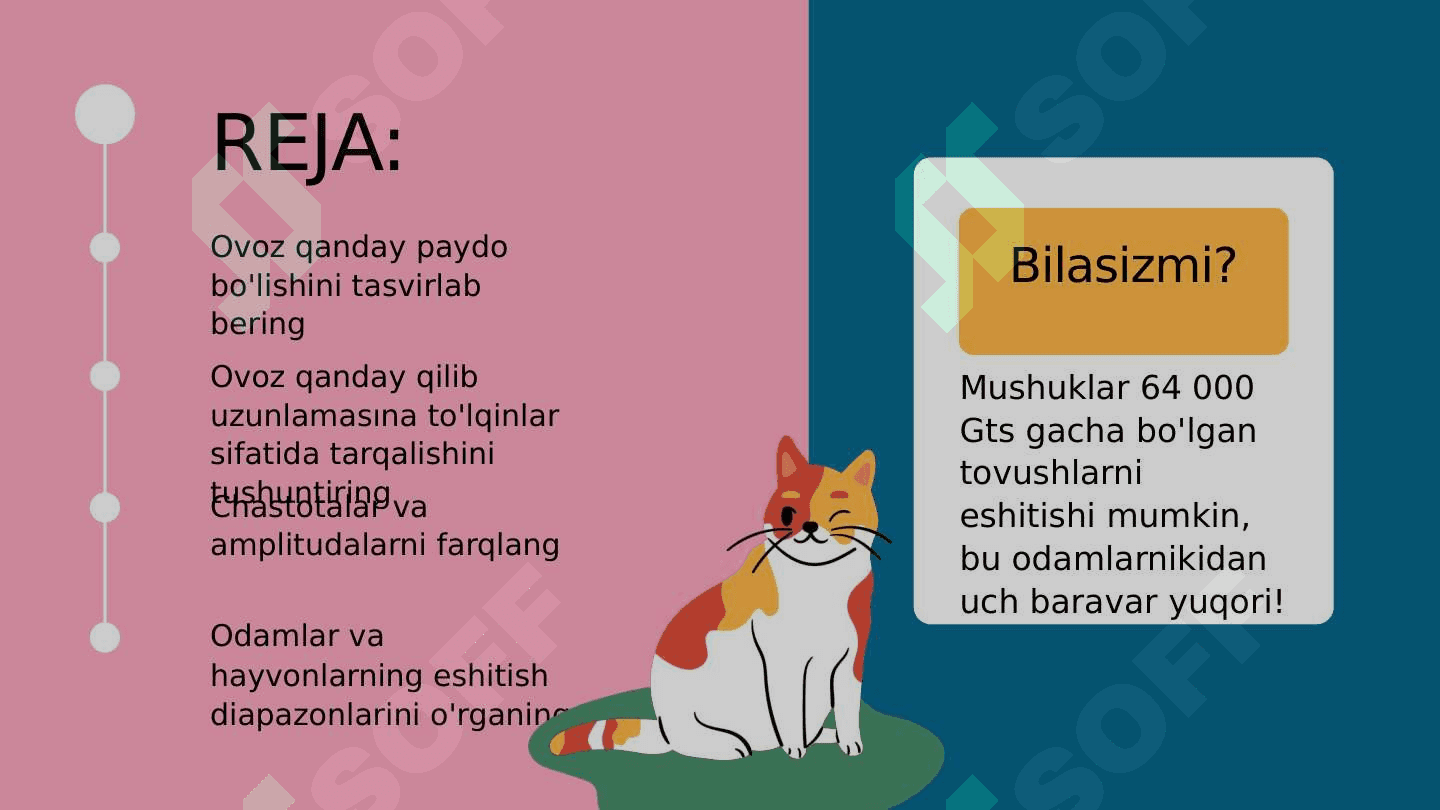 Ovoz to'lqinlari 3