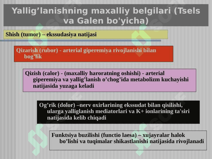 YALLIG’LANISH 7