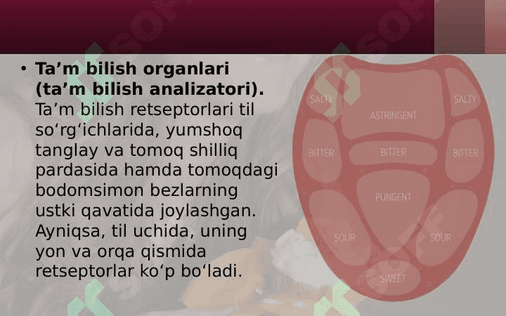 Ta'm bilish azosi gistalogiyasi 2