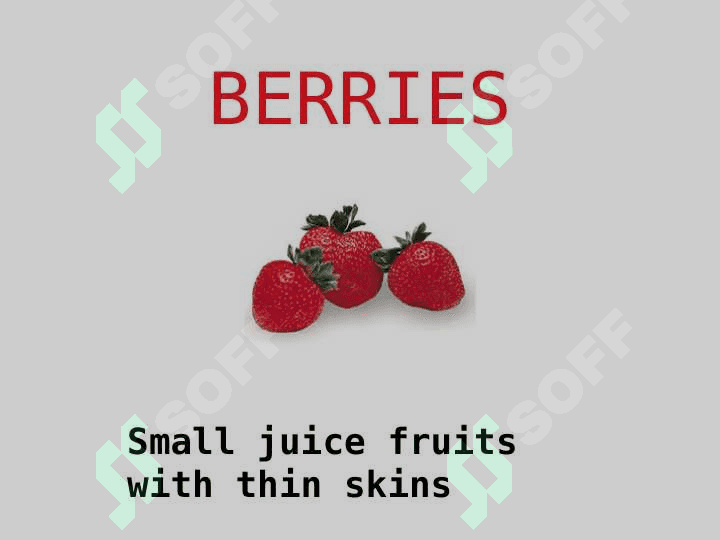 THE FRUIT BASKET 8