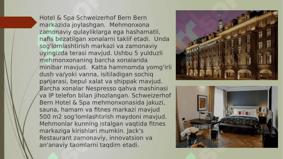 SWITZERLAND HOTELS 8