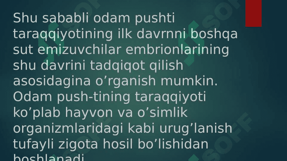 Odam embriogenezining qaltis davrlari 3