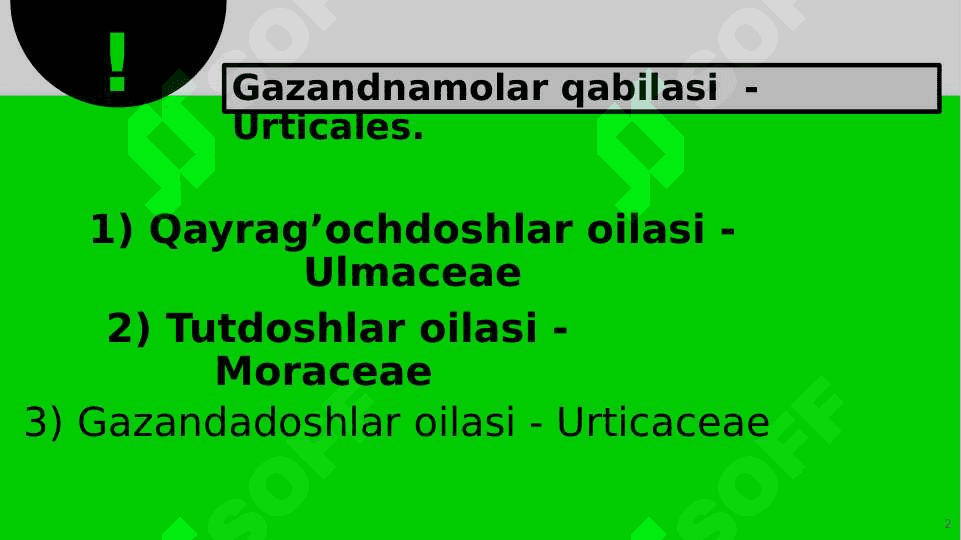GAZANDANAMOLAR 2