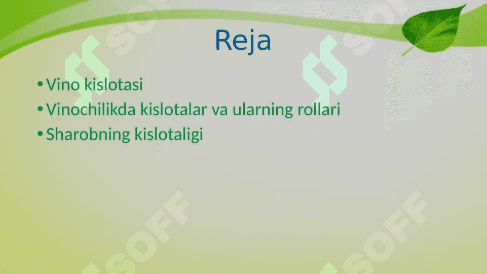 Vino kislota 3